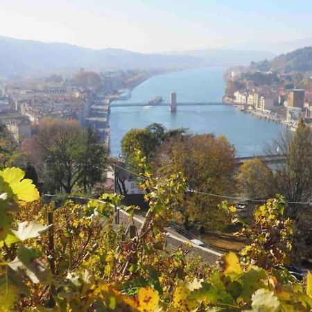 Appartement Vignes 2 Personnes Vienne  Buitenkant foto